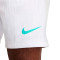 Nike Academy Essentials Shorts