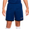 Nike Academie 25 Shorts