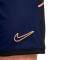 Pantaloncini Nike Academy 25