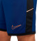 Pantaloncini Nike Academy 25