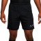 Nike Academy 25 Shorts