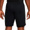 Nike Academy 25 Shorts