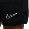 Nike Academy 25 Shorts