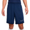 Nike Academy 25 Shorts