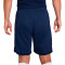 Nike Academy 25 Shorts