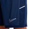 Short Nike Academy 25