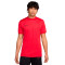 Nike Academy 25 T-Shirt