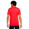 Nike Academy 25 T-Shirt