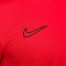 Camiseta Nike Academy 25