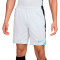 Nike Dri-Fit Strike Shorts