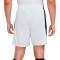 Nike Dri-Fit Strike Shorts