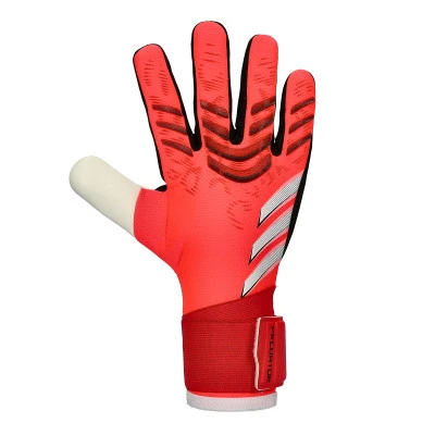 Guantes Predator Competition