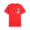 Puma Graphics Icon Tee Jersey