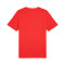 Puma Graphics Icon Tee Jersey