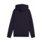 Puma Puma Class Hoodie Tr Sweatshirt