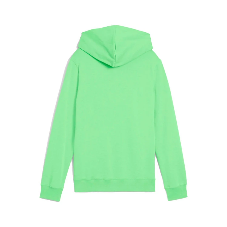 sudadera-puma-essentials-2-color-logo-nino-spring-fern-1