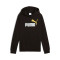 Sweatshirt Puma Essentials 2 Color Logo Criança