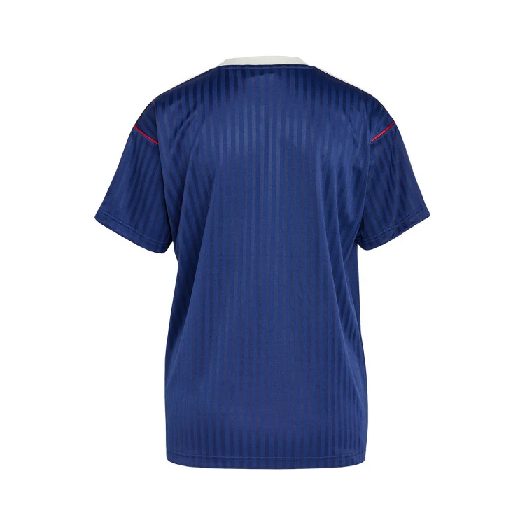 camiseta-adidas-arsenal-fc-fanswear-2024-2025-night-sky-5