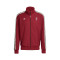 adidas Ajax 125th Anniversary Special Edition Jacket