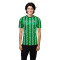 Koszulka Hummel Real Betis 2024-2025 przed meczem