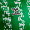 Hummel Real Betis 2024-2025 Vorspiel Trikot