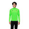 Hummel Real Betis 2024-2025 Training Sweatshirt