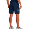 Pantaloncini Under Armour Tech Graphic Short