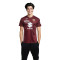 Maillot Joma Domicile Torino 2024-2025