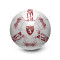 Pallone Joma Torino 2024-2025