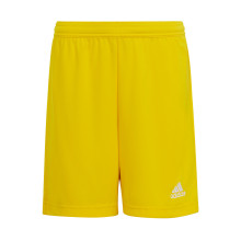 Pantaloncini Entrada 22 EQPC Team Yellow