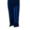 Pantalon adidas Gimmàstic de Tarragona Training Joueurs 2024-2025