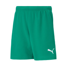 Pantalón corto teamRISE EQPC Pepper Green-White