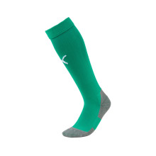 teamLIGA EQPC Voetbalsokken Pepper Green-White