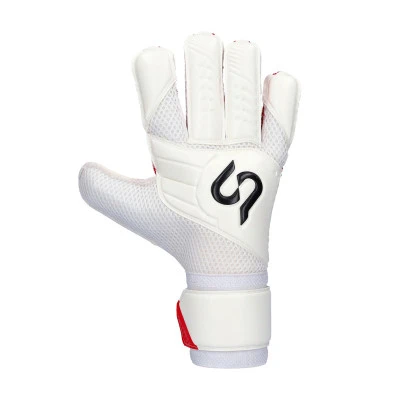 Valor Base CHR Gloves