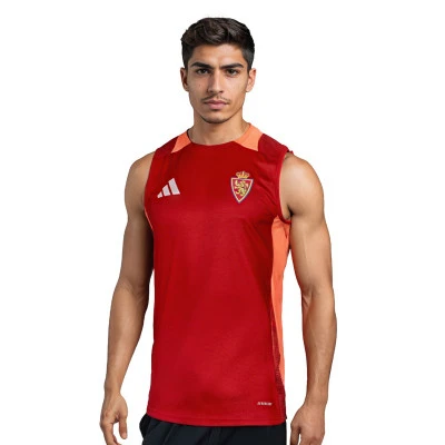 Maillot Real Zaragoza entraînement de gardien de but 2024-2025