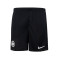 Nike Eintracht Frankfurt 2024-2025 Training Lange Hosen