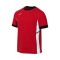 Jersey Nike Academy 25