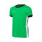 Camiseta Nike Academy 25 Niño