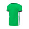 Camiseta Nike Academy 25 Niño