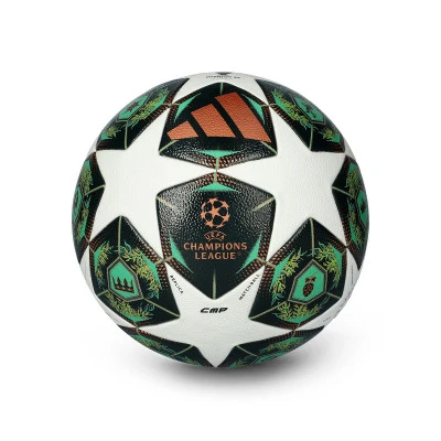 Champions League 2024-2025 Wettbewerb Ball