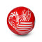 Ballon ATH Bilbao Athletic Club de Bilbao