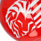 Ballon ATH Bilbao Athletic Club de Bilbao