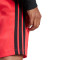 adidas M 3S Sj 7 Sho Rubpur/Black Shorts