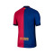 Camisola Nike FC Barcelona Primeiro Equipamento Authentic 2024-2025