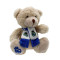 Real Madrid CF Teddy Bear 20cm