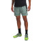 Under Armour Pro Train Shorts