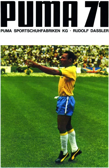 pele-puma2.webp