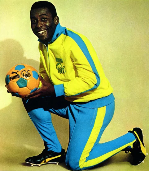 pele-puma3.webp