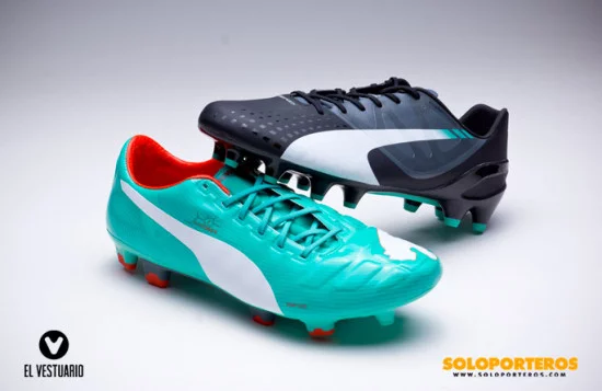 Puma evospeed vs evopower best sale