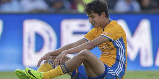 Jürgen-Damm-Tigres-1200x600.webp